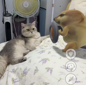 刀盾感应是什么梗？猫狗能看到我的刀盾？